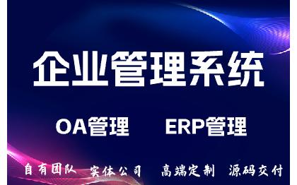 经营管理软件开发/系统管理软件/业务管理软件